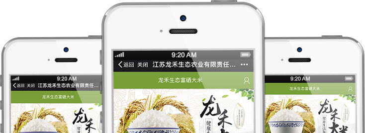 APP体验
